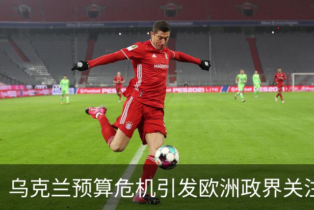 乌克兰预算危机引发欧洲政界关注与意外